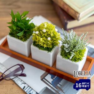 プリザーブドフラワー 箱庭風 退職祝い 新築祝い