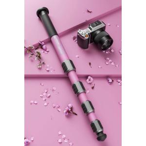 Manfrotto (マンフロット)ローラーバッグ MB PL-LW-88W-2 Amazon | PL LW-88W2 ローラーバッグ | カメラバック・ケース 通販