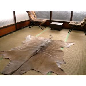 オリックス敷物約195×144cm□毛皮壁掛 オブジェ♯F剥製革ラグ