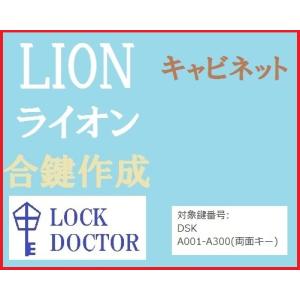 LION(ライオン)キャビネット　合鍵　スペアキー　DSK A印　鍵番号打刻