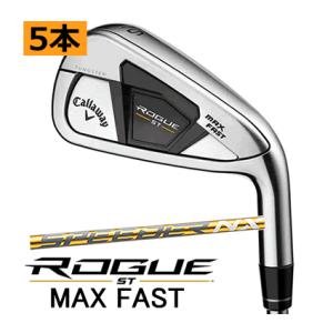 Callaway キャロウェイ（CALLAWAY）（メンズ）BIG BERTHA