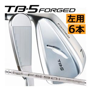 TOUR B ブリヂストンゴルフ 258 CBP アイアン 6本(5番〜P)セット NS