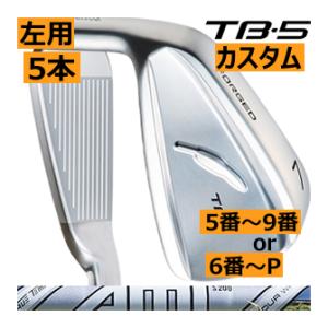 レフティ　フォーティーン　TB-5　フォージド　アイアン　5本(5番〜9番 or 6番〜P)セット　DG　AMTツアーホワイト　カスタムモデル　ハドラス｜lockon