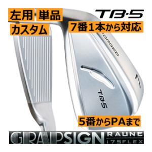 MIZUNO（ミズノ） Mizuno Pro 918 アイアン TS-i カーボンシャフト