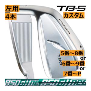 STEALTH テーラーメイド HD アイアン TENSEI RED TM60 シャフト 5本