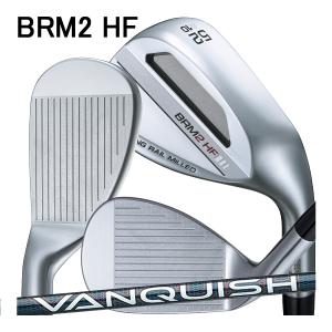 Titleist（タイトリスト） 特 T400 アイアン 単品 W43 W49 W55