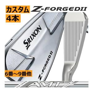 PRGR（プロギア） 特注カスタムクラブ 03 アイアン ダイナミック