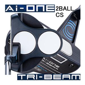 新品同様★大人気売り切れ品テーラーメイド スパイダー ZT パター 46インチ 楽天市場】テーラーメイド 2025 Spider ZT Long パター 46インチ US