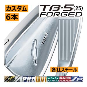 FOURTEEN レフティ フォーティーン TB-5 フォージド アイアン 6