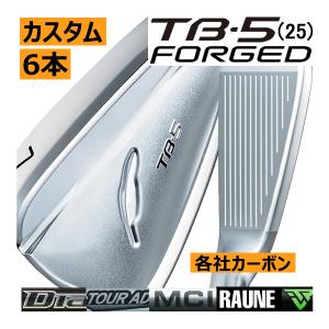TaylorMade（テーラーメイド） P790(25)/P・8CB(25) コンボアイアン 6