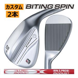 BRIDGESTONE ブリヂストンゴルフ バイティング スピン ウエッジ