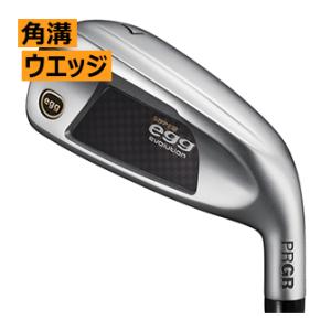 プロギア　スーパーエッグ　アイアン　単品　AS　S　専用カーボンシャフト　角溝仕様(溝ルール外)　2...