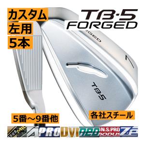 Titleist（タイトリスト） （レフティモデル）Titleist 2023 T200 Iron