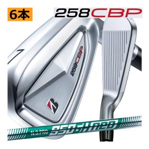 HONMA GS アイアンセット 6-10番 HONMA GOLF（本間ゴルフ） ホンマ ツアーワールド GS アイアン 5本(6番