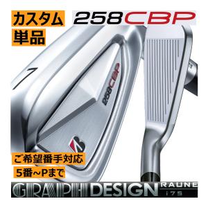 MIZUNO（ミズノ） ミズノプロ 221 アイアン 単品(No.3、No.4) (Dynamic