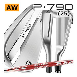 TaylorMade（テーラーメイド） ALL NEW P790(25) アイアン 単品 4番 5