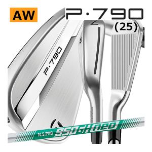 TaylorMade テーラーメイド ALL NEW P790(25) アイアン 単品販売