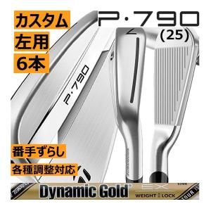TaylorMade（テーラーメイド） ALL NEW P790(25) アイアン 5本(5番〜9