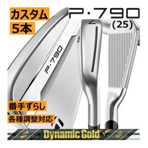 MIZUNO（ミズノ） Mizuno Pro 918 アイアン TS-i カーボンシャフト