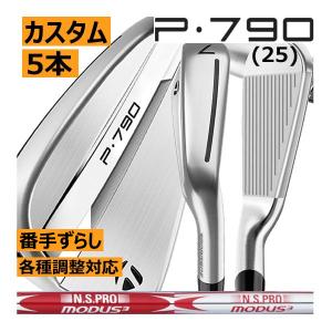 テーラーメイドP790/P770 Comboカスタムアイアン('25)6本セット