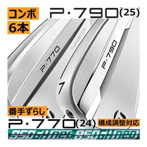 Titleist（タイトリスト） T150(25) アイアン 6本(5番〜P)セット AMT