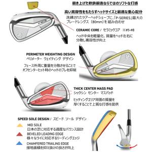 テーラーメイド P・8CB(25) アイアン ...の詳細画像2
