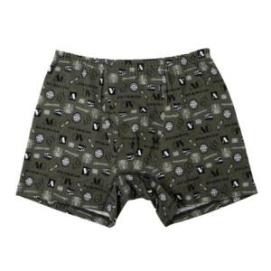 アクアスキュータム Aquascutum AQボクサー/26SS/2ホンゴム/イギリスアイテム 【返品不可商品】 （グリーン）｜ブランド公式 LOCOMALL ロコモール