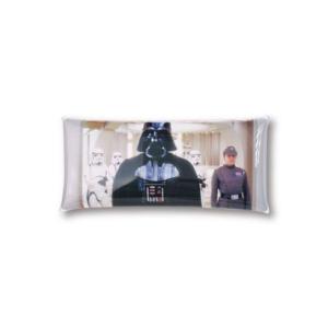 ランナー RUNNER スター・ウォーズ ペンケース 筆箱 小物入れ クリアマルチケース Lサイズ ...