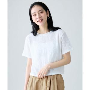 ANY レースショート丈Tシャツ （オフ）