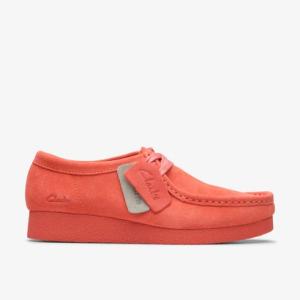 Clarks（クラークス） ブーツ 「emmi meets Clarks」 Torhill Moss
