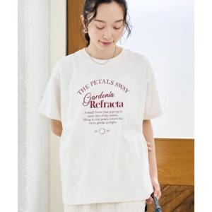 コーエン coen 20/C ガーリーシックロゴプリントT （OFF WHITE）