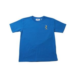ファインプラス FINE PLUS ジュニア 半袖シャツ ミニオンズ KIDS スクエアパネルTシャツ 22863322 （ブルー）