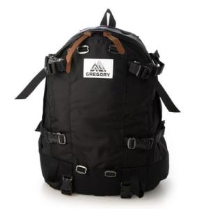 THE NORTH FACE（ザ ノースフェイス） THE NORTH FACE NM82061 Roamer