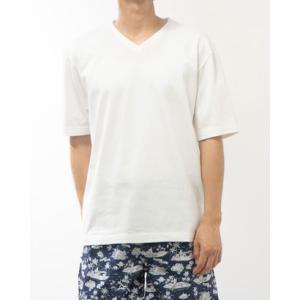 エヌ．パラ N.PARA ドレスTシャツ Vネック （ホワイト）