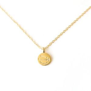 ノエルマーケット Noelmarket ネックレス 金属アレルギー対応 レディース 星座 18kコーティング ゴールド シルバー シンプル 人気 プレ