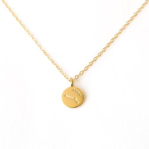 ノエルマーケット Noelmarket ネックレス 金属アレルギー対応 レディース 星座 18kコーティング ゴールド シルバー シンプル 人気 プレ