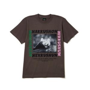 ノントーキョー NON TOKYO ラクーン プリント ティーシャツ（RACCOON PRINT T-SHIRT） （BROWN）