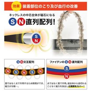 ファイテン Phiten 【管理医療機器】 磁...の詳細画像2
