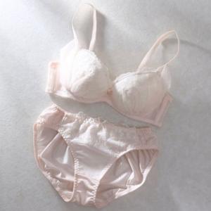 パリーゼ Palissee リフトアップ風 フェアリーブーケ3/4カップブラ＆ショーツ   （ピンク）【交換・返品不可】