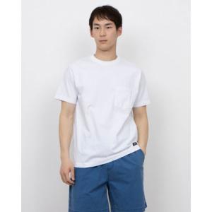 クイックシルバー QUIKSILVER メンズ サーフ 半袖Tシャツ DNA HISTORY PIG...