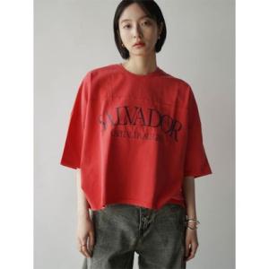 ラディエイト RADIATE ケミカルウォッシュドルマンロゴTシャツ （レッド）