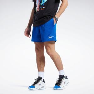 シティ リーグ メッシュ ショーツ / BB CITY LEAGUE MESH SHORT （ベクタ...