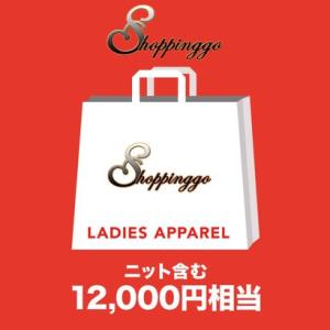 ショッピングゴー shoppinggo 【2023年福袋】レディース超お得福袋3点入り アウター 入...