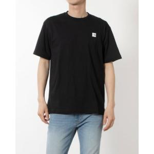 ザ ノース フェイス THE NORTH FACE メンズ アウトドア 半袖Tシャツ S/S Sma...