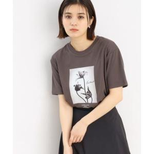 ザ ショップ ティーケー  (ウィメン) THE SHOP TK(Women) 【ヒルナンデス！で紹介】サスティナブルロゴアソートプリントTEE （チ｜locondo-shopping