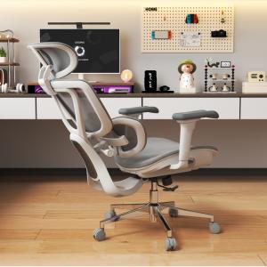 オフィスチェア FlexiSpot C8 デス...の詳細画像1