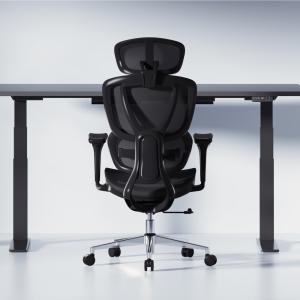 オフィスチェア FlexiSpot C8 デス...の詳細画像5