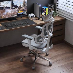 オフィスチェア FlexiSpot C8 デス...の詳細画像2