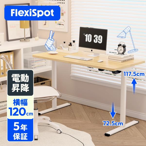 電動昇降デスク FlexiSpot EG1 120cm 昇降 デスク 120 学習机 昇降式デスク ...