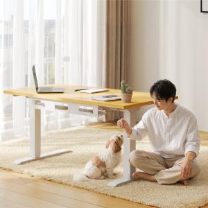昇降式デスク FlexiSpot E5pro ...の詳細画像3